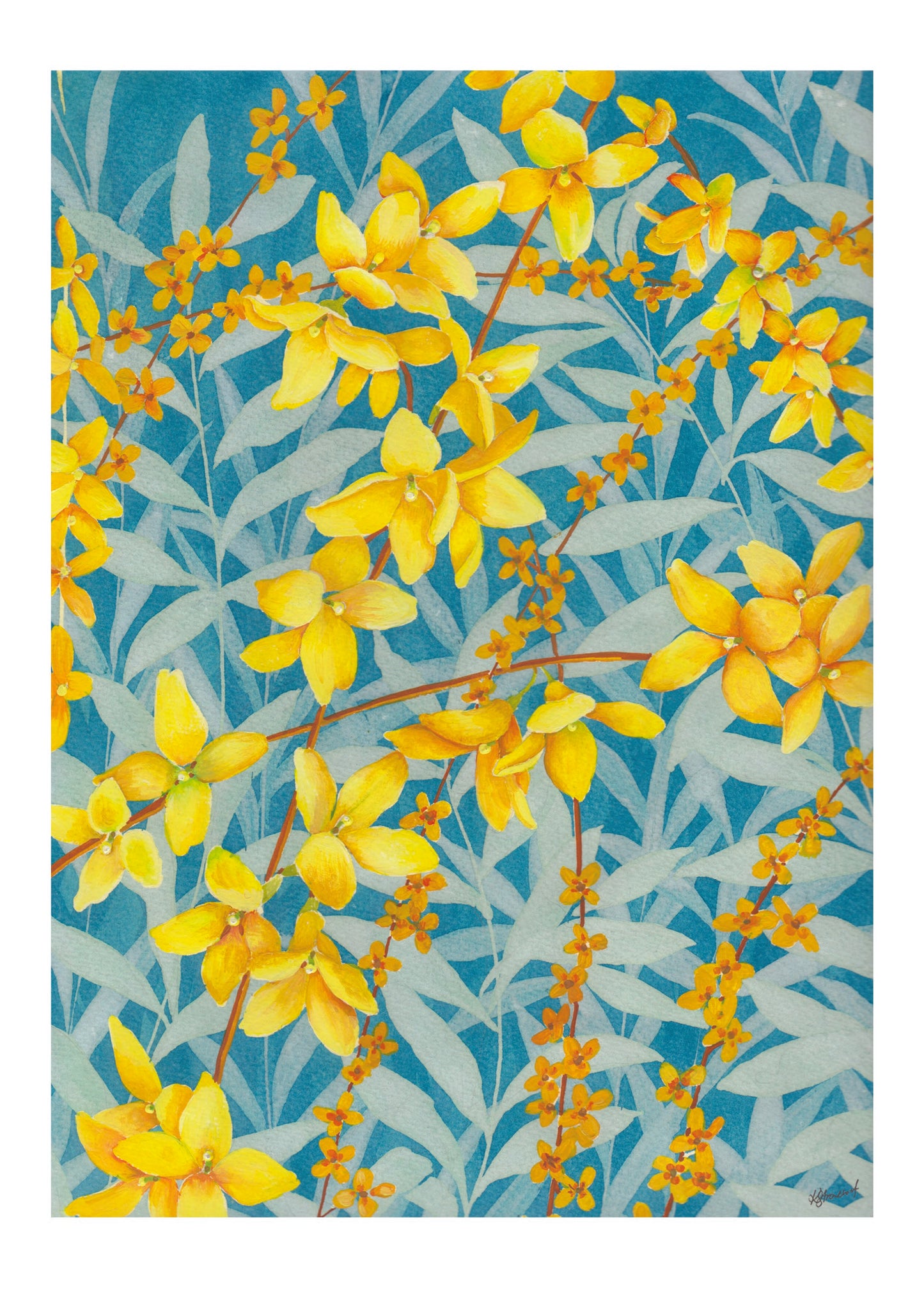 A3/A4 Poster Forsythia on blue